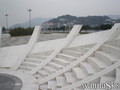 foto de skate