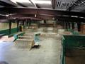 foto de skate