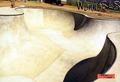 foto de skate