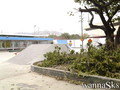 foto de skate