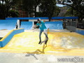 foto de skate